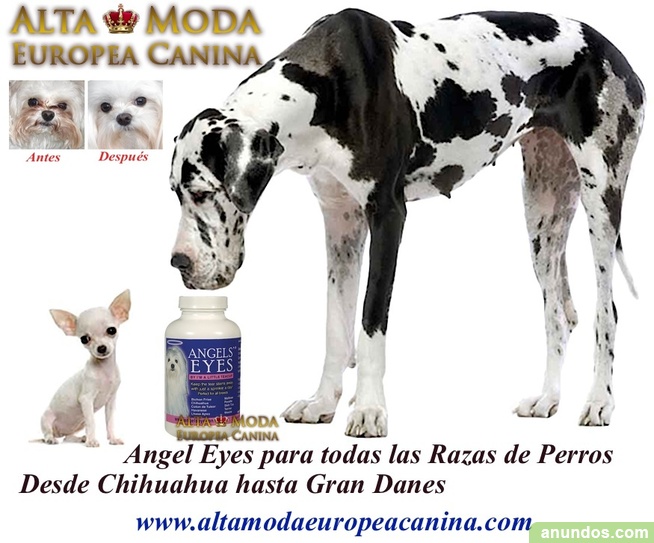 Angel Eyes para Perros, limpia el lagrimal por completo Albacete Ciudad