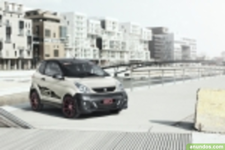 Coche sin carnet electrico 2013