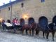 Alquiler de coches de caballos - Foto 2