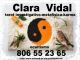 Clara vidal vidente tarotista particular