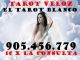 905-456-779 el tarot blanco veloz - Foto 1
