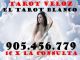 905-456-779 el tarot blanco veloz