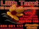 Tarot del corazon solidario 0,41 e 806 001 117 o visa 902 808 166