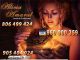 Tarot visa economica alicia amaral 960 000 359