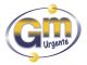 Mensajería gm urgente (logistica y distribución)
