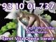 Tarot oferta visas economicas 931 001 737
