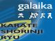 Agrupación deportiva galaika. karate en santiago de compostela