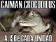 Caimanes Crocodilus a 150€ la unidad - Foto 1