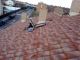 Ferrol tejados-limpiamos tejado y canalones - Foto 3