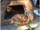 Horno de Leña para Pizza e Pan “MAXIMUS” - Foto 2