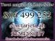 Tarot magico 806 499 252