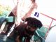 Venta de rottweiler
