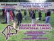 Adiestramiento de perros, talleres y seminarios en san sebastián