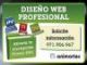 Cursos profesionales de Diseño Web (Palma de Mallorca) - Foto 1