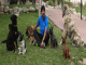Educador canino en Alicante - Foto 2