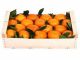 Naranjas de Valencia - Foto 1