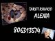 Tarot Rúnico de Alexia 806313574 la Fuerza de Los Arcanos y las R - Foto 1
