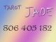 Tarot del dinero 806 405 182