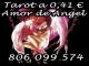 Tarot barato amor de angel: 806 099 574. tarot a 0.41€ -min