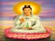 Laura tarot 806501065