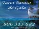 Tarot barato Español - Gala: 806 313 682.// - Foto 1