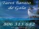 Tarot barato Español - Gala: 806 313 682. Tarot las 24h... - Foto 1