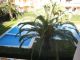 Torrevieja,cerca playa,2 habs,piscina,gran precio - Foto 1