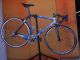 Bicicleta Colnago C-40 2005 - Foto 1