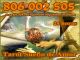 Tarot 806 barato videntes 806 002 505