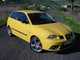 Seat ibiza fr 1.9 tdi 130 cv