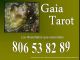 Gaia tarot, mucho mas que palabras