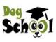 Dogschool: nuevo servicio de adiestramiento y educación canina
