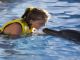 Nado con delfines en cancun (mexico) por $75 usd!