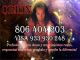 Videntes y maestros del oraculo 91 12 19 888