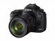 Sell brand new canon eos 5d nikon d90 nikon d700