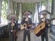 Auténtico mariachi en amurrio ( alava) 687.184.523