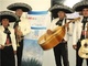 Mariachi mexicano en la rioja 687.184.523