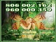 Oferta tarot hada del bosque visa 5 € 10 min 960 000 359. 806 bar