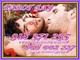 Tarot Gay - Foto 1