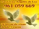 Tarot rituales visa desde 5 euros 961 059 669 las 24 horas