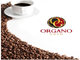 Comercializa café Organo Gold - Foto 2