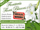 Floristeria Flores Blancas - Foto 2