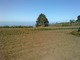 Vendo terreno En Icod De Los Vinos - Las Abiertas - Foto 4