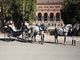 Alquiler de Coches de caballos para bodas y eventos en Sevilla - Foto 4