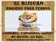 Se buscan abrigos para perros, ropa perros invierno