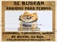 Se buscan abrigos para perros, ropa perros invierno