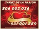 Tarot 806 de la pasión solo 0,42 cm min. oferta 10€ 20 min