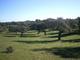 Terreno en caceres