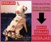 Vestidos para perritas, ropa perros con descuento