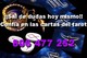 Despeja tus dudas. tarot sin esperas. 806477252.directo